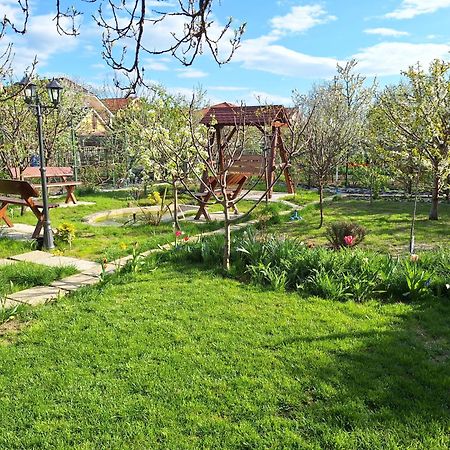 Trend Bed & Breakfast Arad Exterior foto