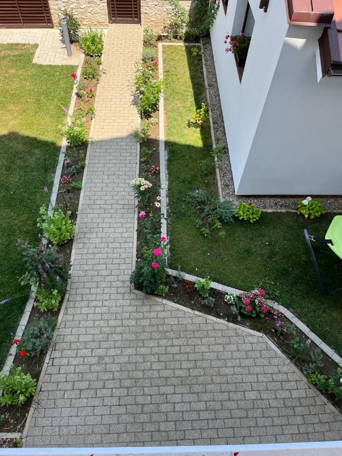 Trend Bed & Breakfast Arad Exterior foto