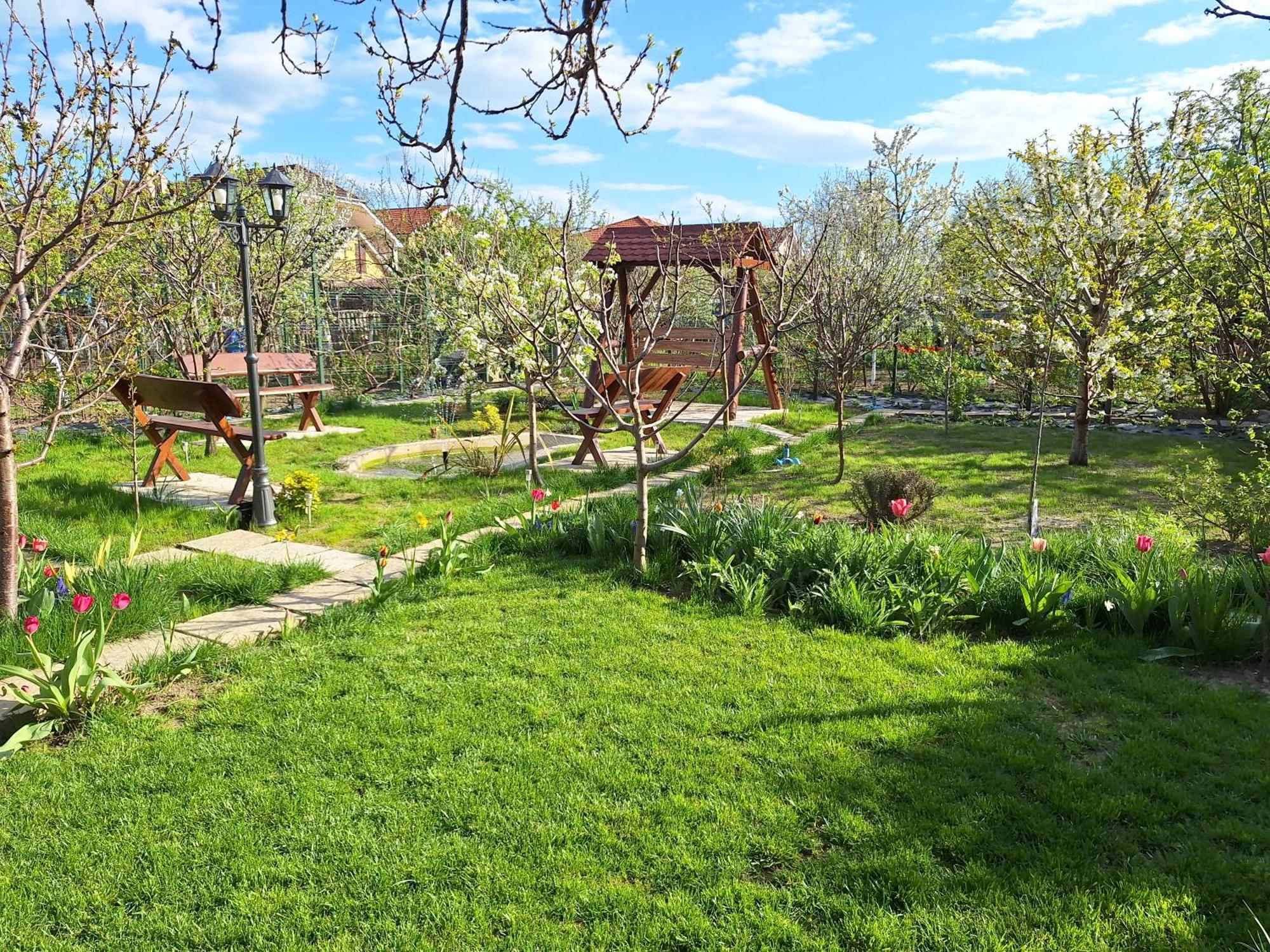 Trend Bed & Breakfast Arad Exterior foto